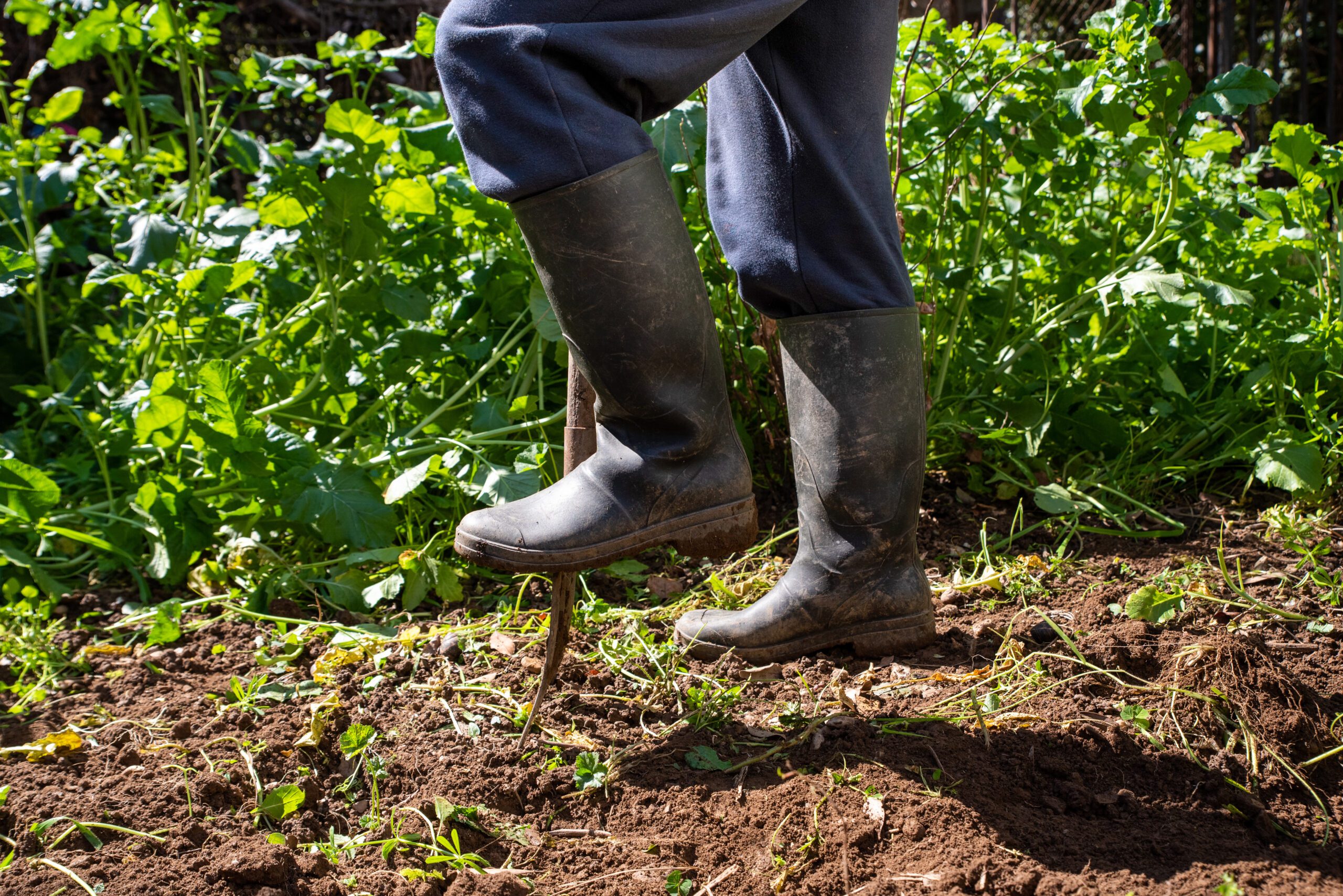 Comment choisir ses bottes de jardinage ?