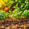 Effets du paillage sur votre jardin