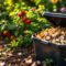 Compostage : mode d’emploi et astuces pratiques